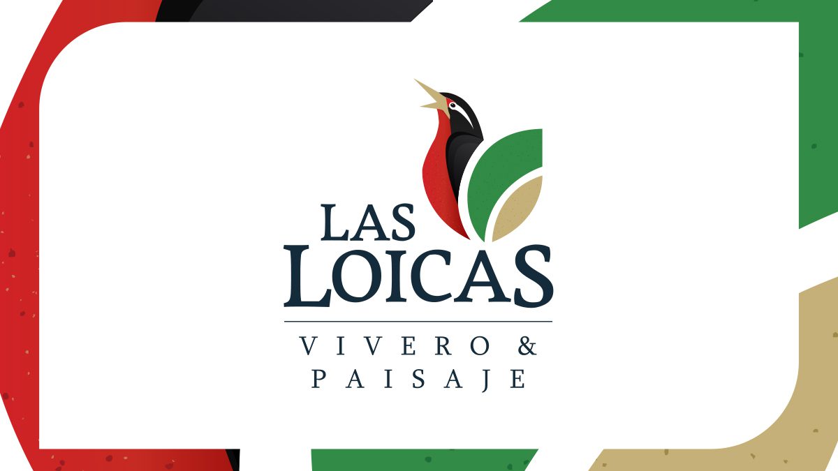 Las Loicas logo
